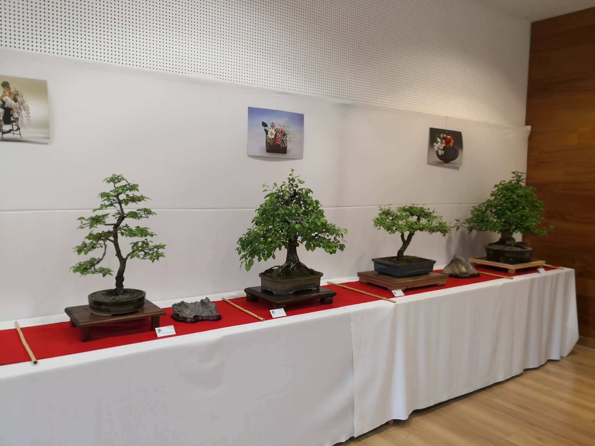 Képes riport a Bonsai Kiállításról (2026-04-11..12)
